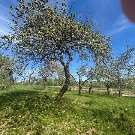 Swietokrzyski Klimacik Bodzentyn Εξωτερικό φωτογραφία